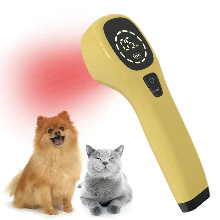 Portable Cold Laser Therapy Device for Pets - Home Use