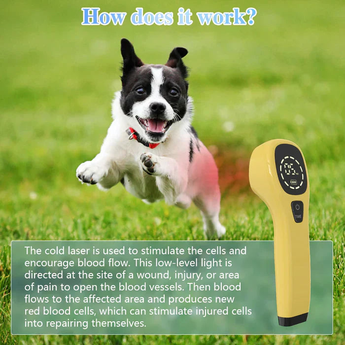 Portable Cold Laser Therapy Device for Pets - Home Use