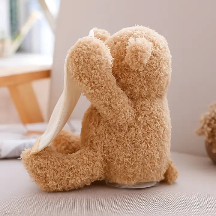 BuddyBear – The Peekaboo Teddy Bear That Brings Giggles to Your Baby Every Time