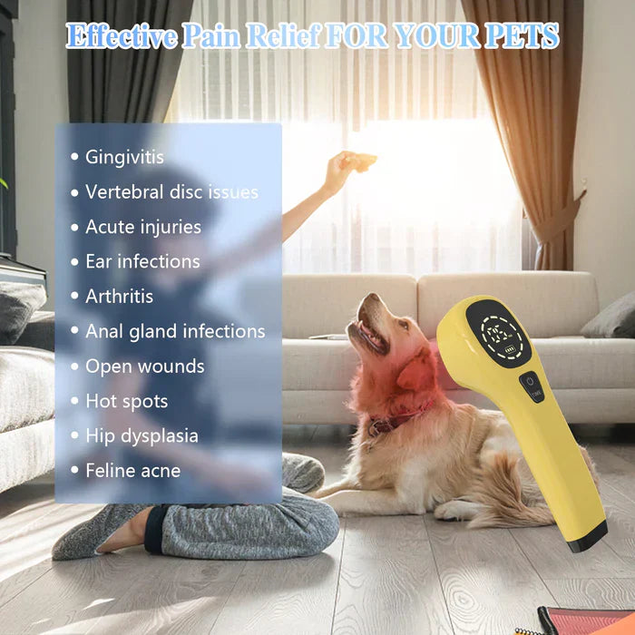 Portable Cold Laser Therapy Device for Pets - Home Use