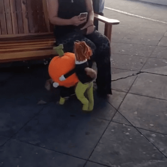 PhantomCharm™ — Turn Your Pet Into the Irresistible Halloween Showstopper Everyone Loves