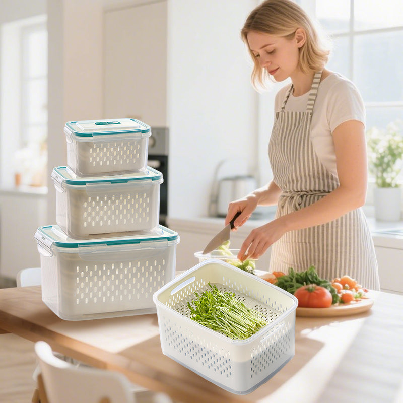 Freshness Container – Feel the Freshness and Extend Food Life