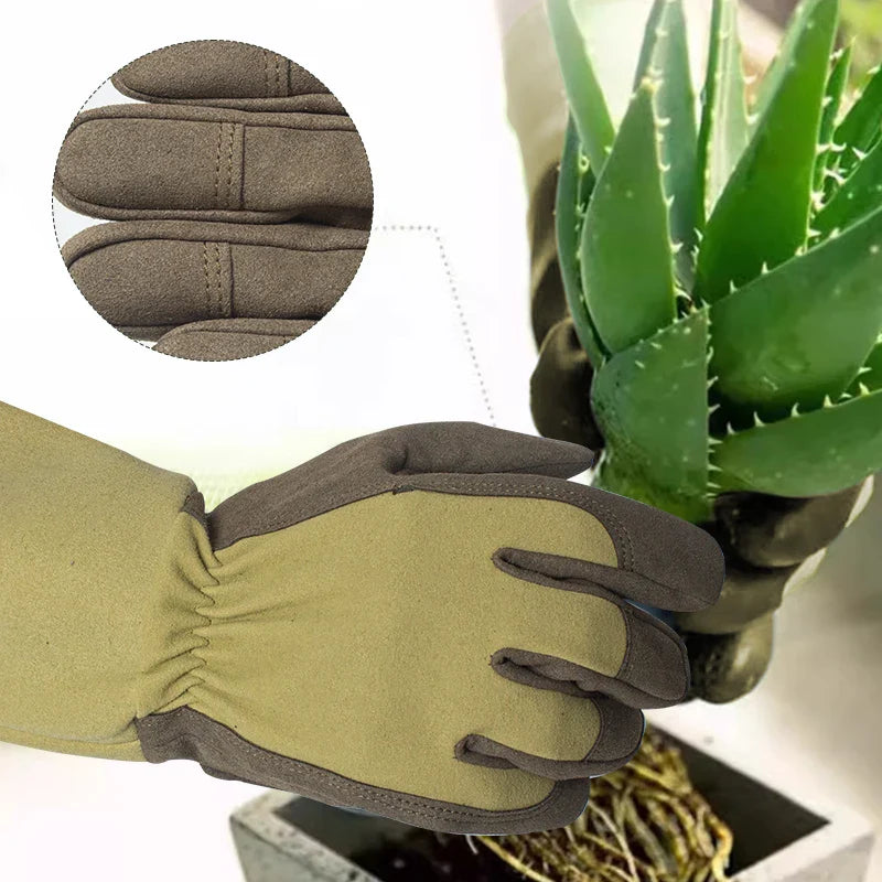 Hand Protection for Pain-Free Handling of Roses