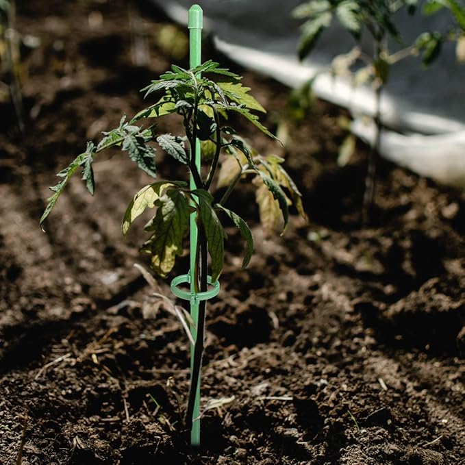 VerdantaGuard™ — Unbreakable Support That Transforms Plants Into Proud Garden Masterpieces