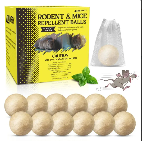 Natural Rodent Protection for a Pest-Free and Worry-Free Home