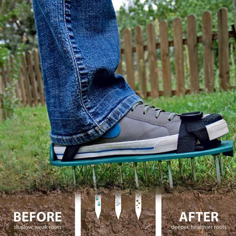 Turf Enhancer – Transform Every Step into a Lush, Green Lawn Secret!