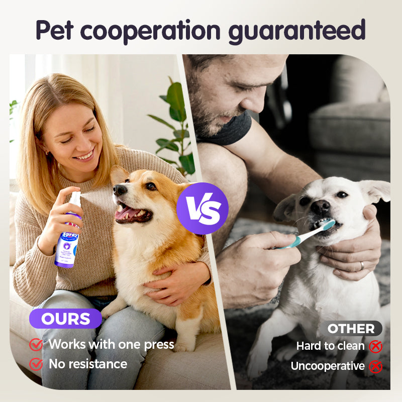 FreshPaws™ — Effortless Fresh Breath and Sparkling Smiles for Happier Pets