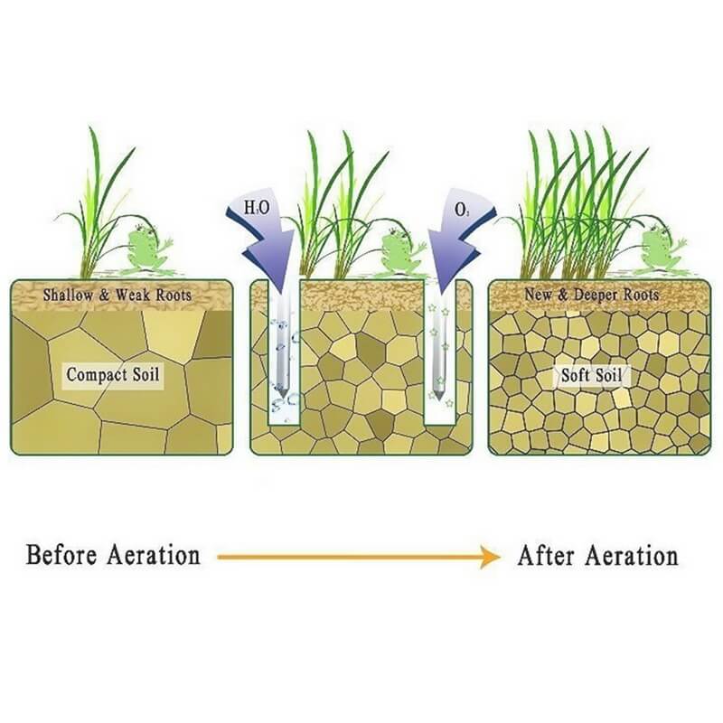 Turf Enhancer – Transform Every Step into a Lush, Green Lawn Secret!