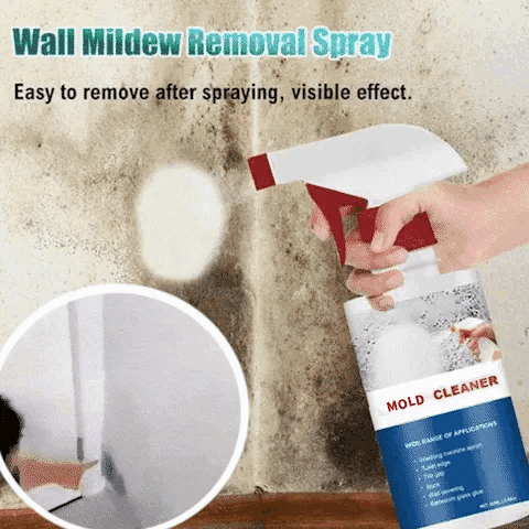 Mold Remover for Walls and Fabrics