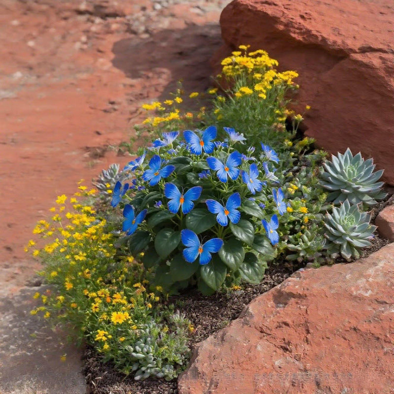 FlutterMuse™ Butterfly Bloom Seeds — Transform Your Garden into a Magical Butterfly Wonderland