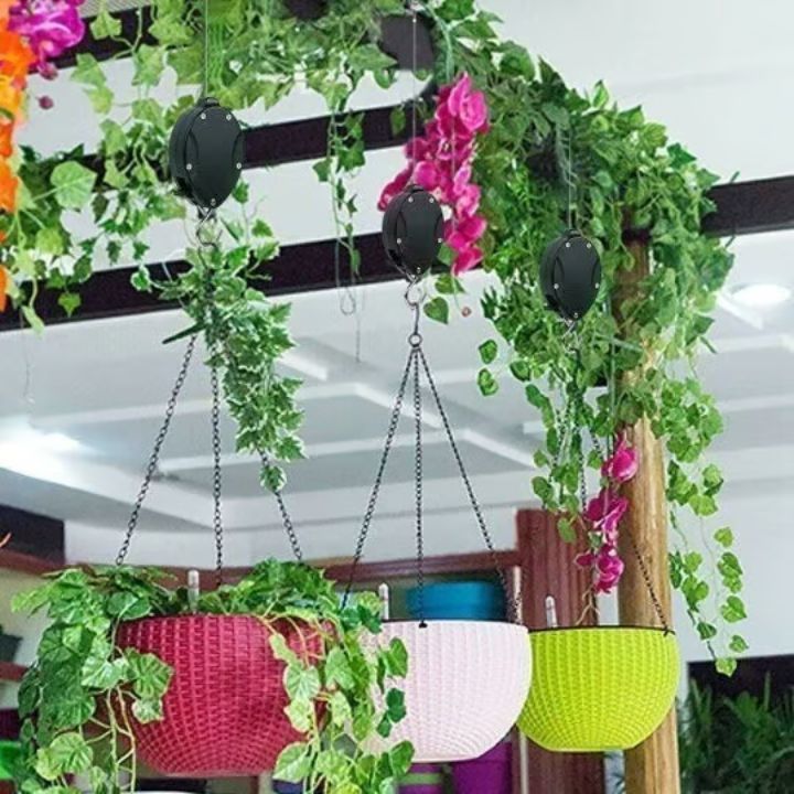 2+2 Free | Simple Plant Hanging Set