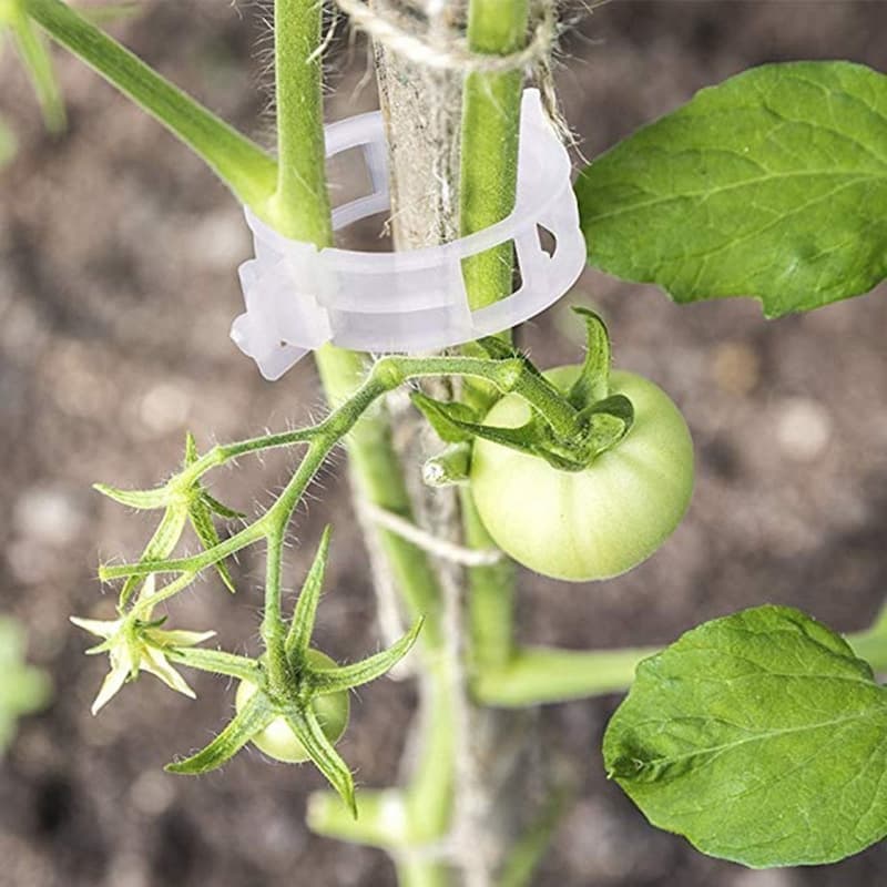 VerduraClips™ — Transform Your Garden with Triple-Speed, Damage-Free Growth