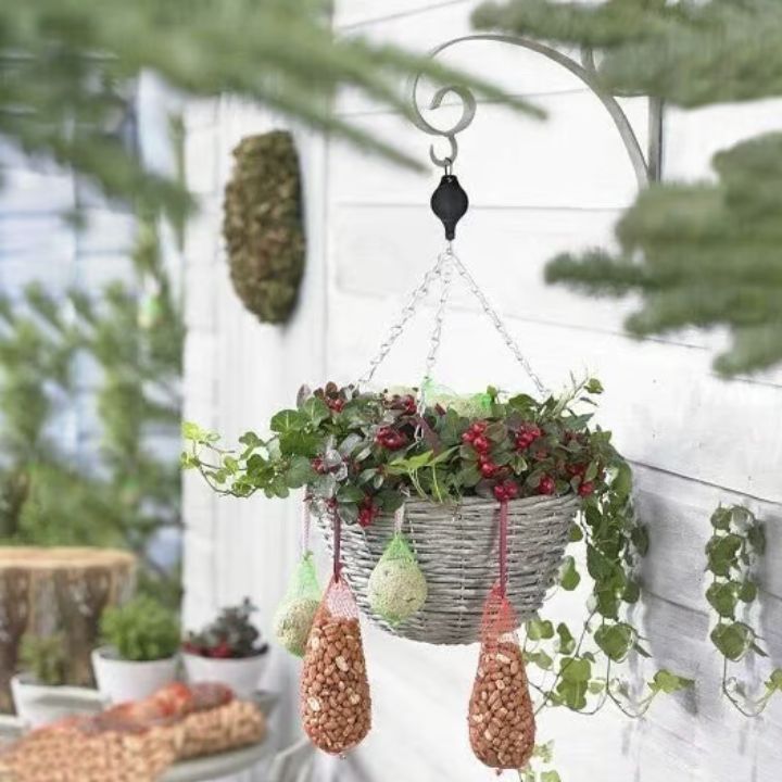2+2 Free | Simple Plant Hanging Set