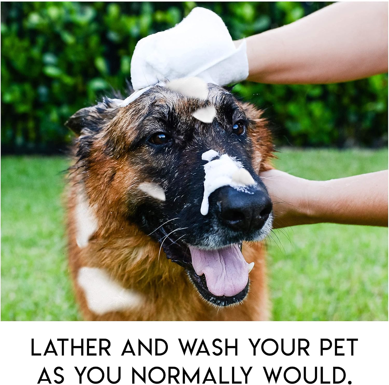 Gentle Fur Care for Relaxation and Shine