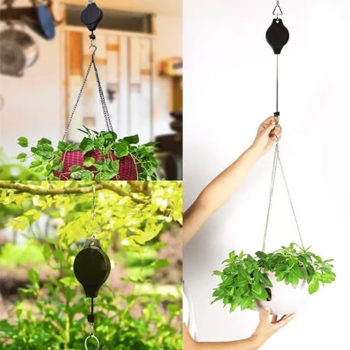 2+2 Free | Simple Plant Hanging Set