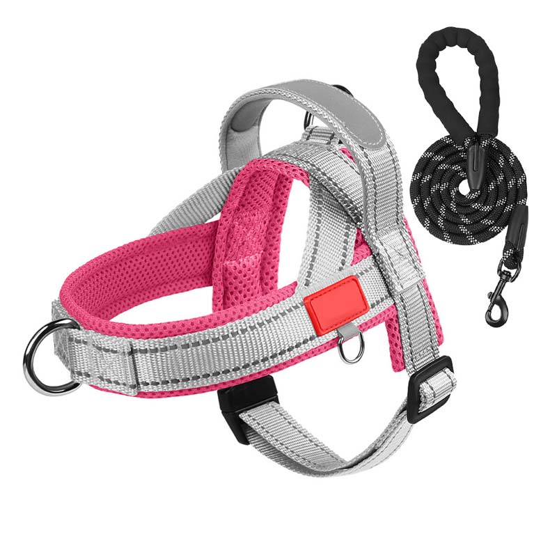 Comfort Harness for Dogs – Easy Wear and Unrestricted Freedom