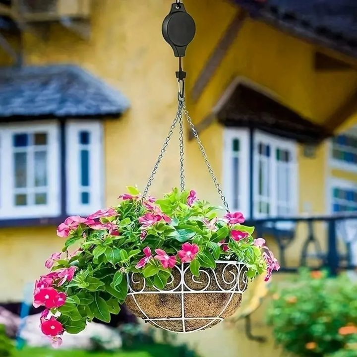 2+2 Free | Simple Plant Hanging Set