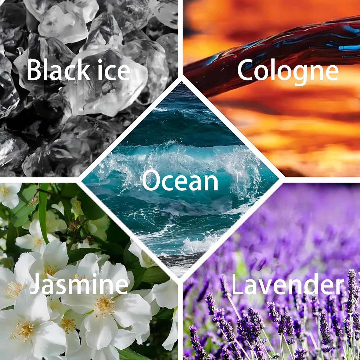 Transform Your Car into a Fresh Oasis of Elegance and Pure Driving Joy