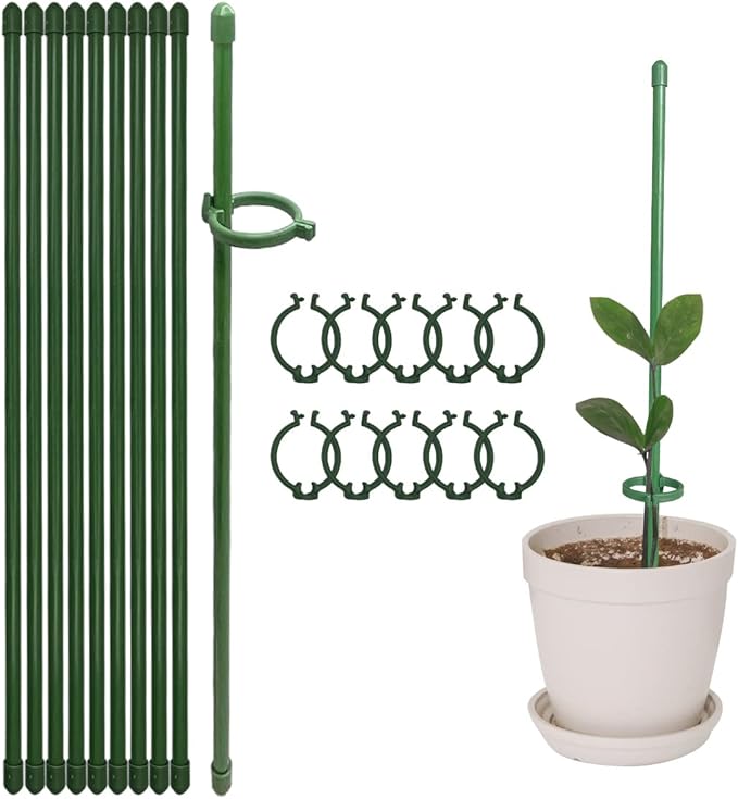 VerdantaGuard™ — Unbreakable Support That Transforms Plants Into Proud Garden Masterpieces