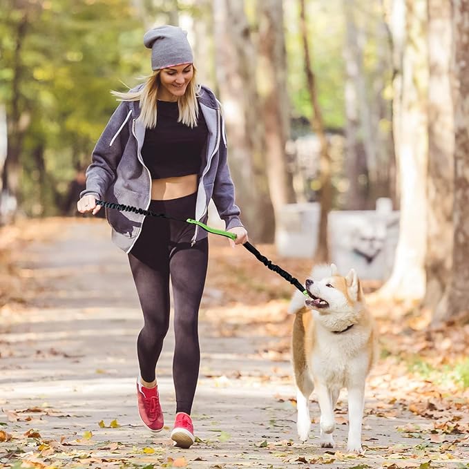 Soft Control Dog Leash for Relaxed Walks Without Jerking