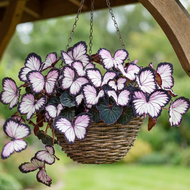 FlutterMuse™ Butterfly Bloom Seeds — Transform Your Garden into a Magical Butterfly Wonderland