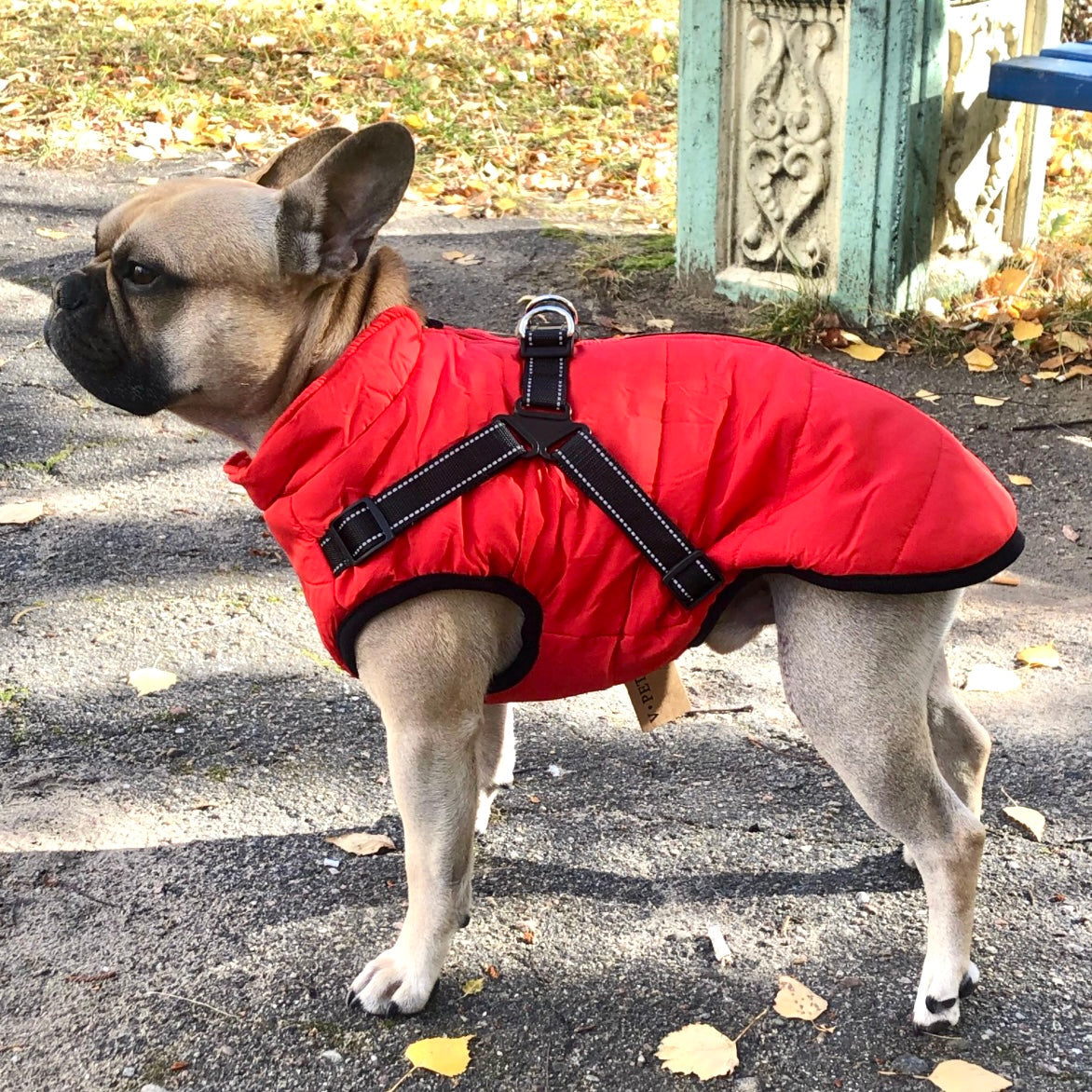 StormPaw™ Weather Jacket — Keep Your Dog Warm, Dry, and Effortlessly Controlled on Every Adventure