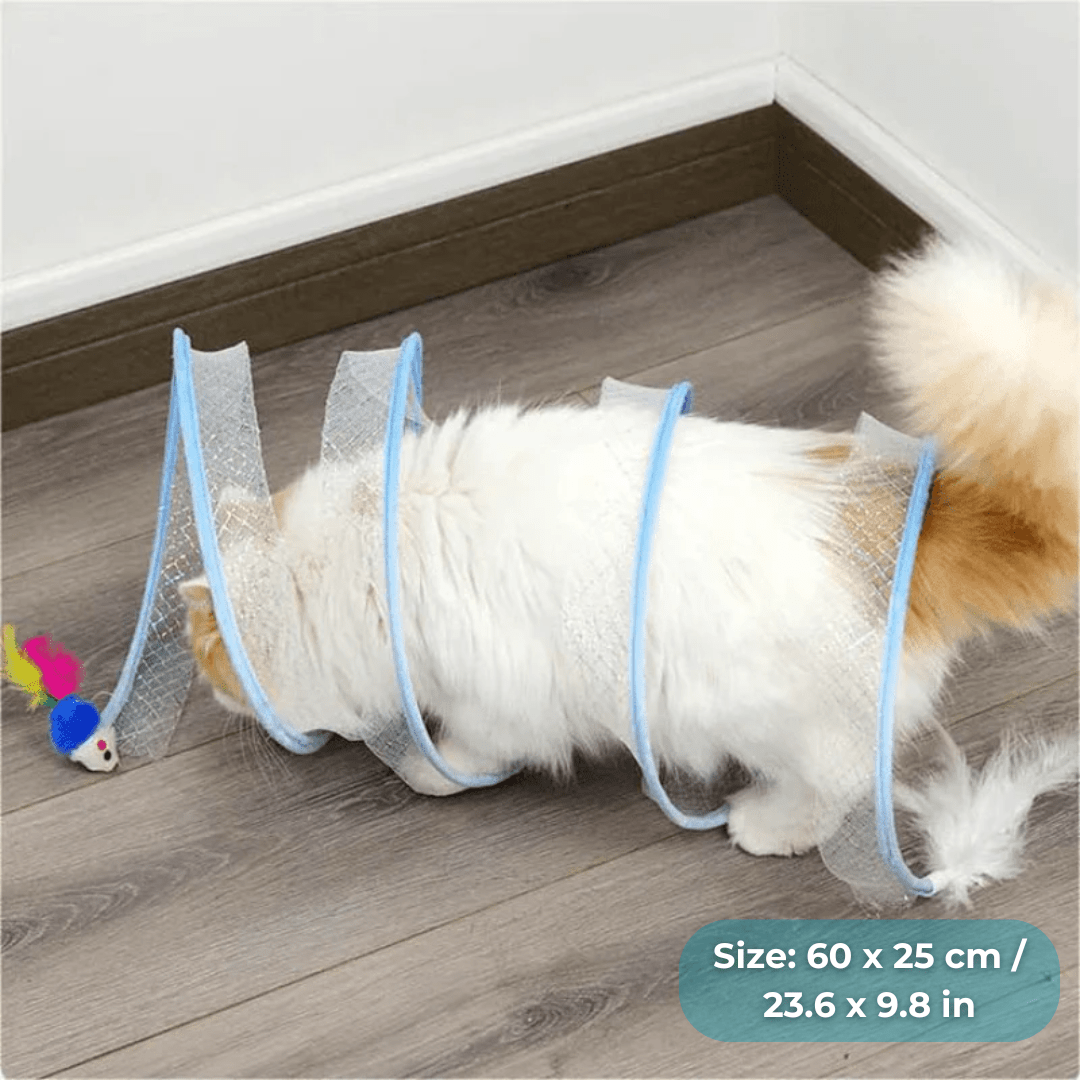 WhiskerWander™ — Ignite Your Cat’s Wild Play and Peaceful Home in Seconds