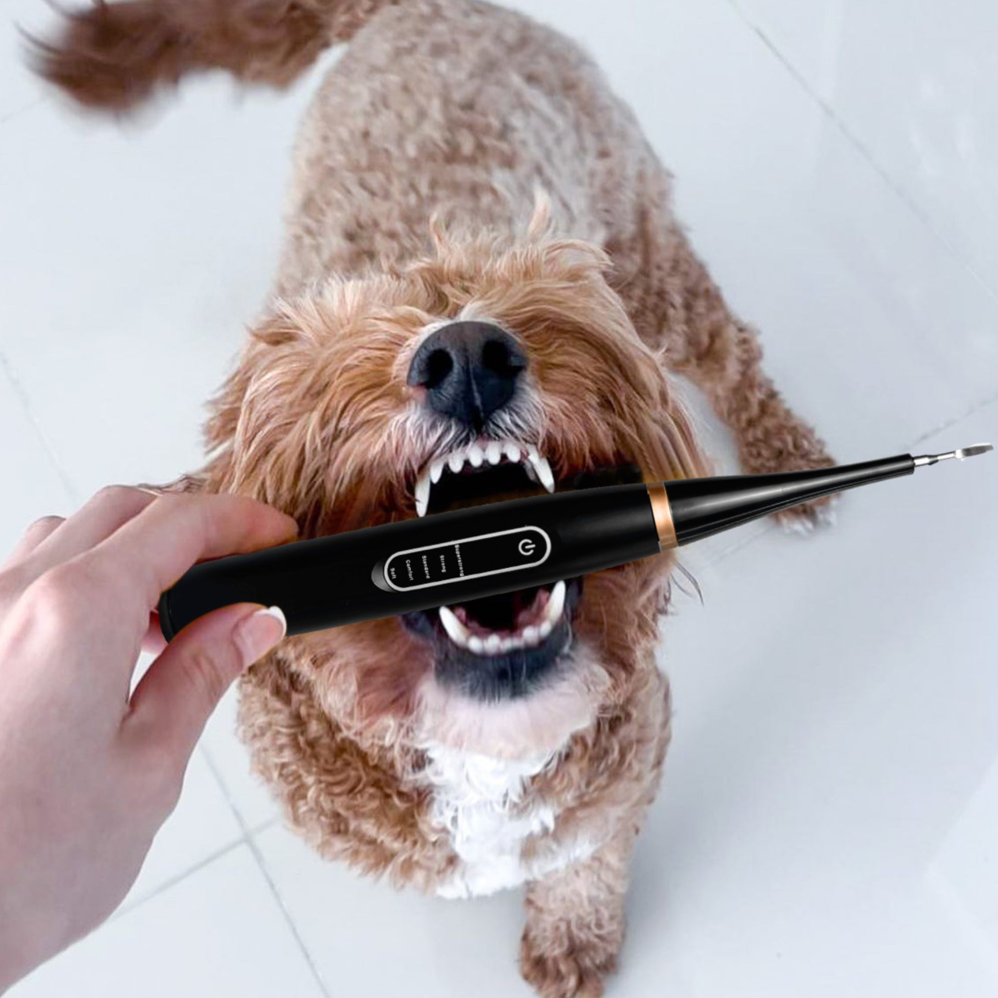 PureSmile™ — Effortless, Pain-Free Dental Care That Gives Your Pet a Bright, Confident Smile