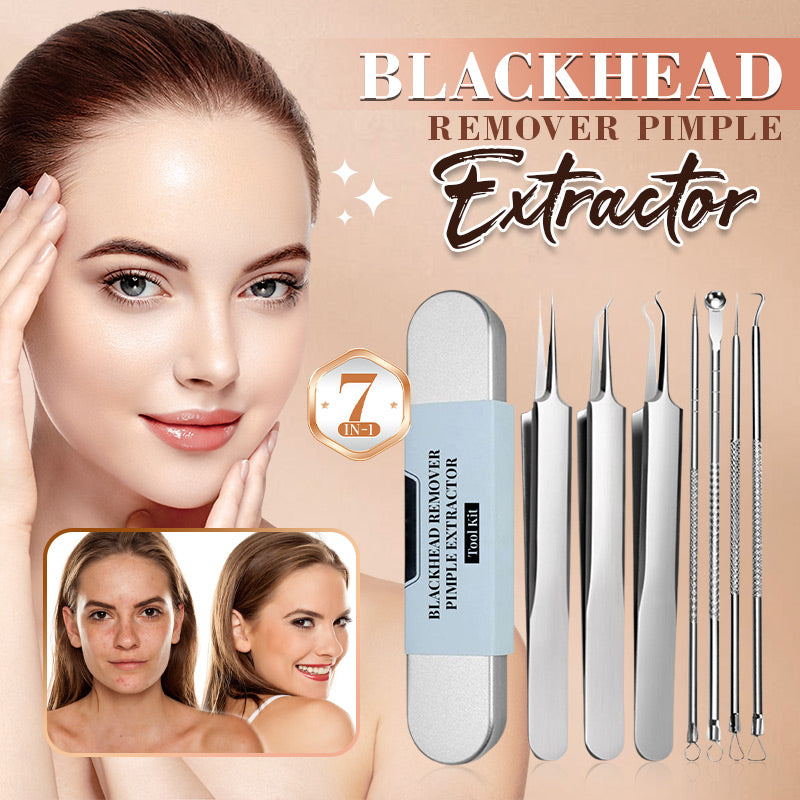 Stainless steel blackhead removal kit