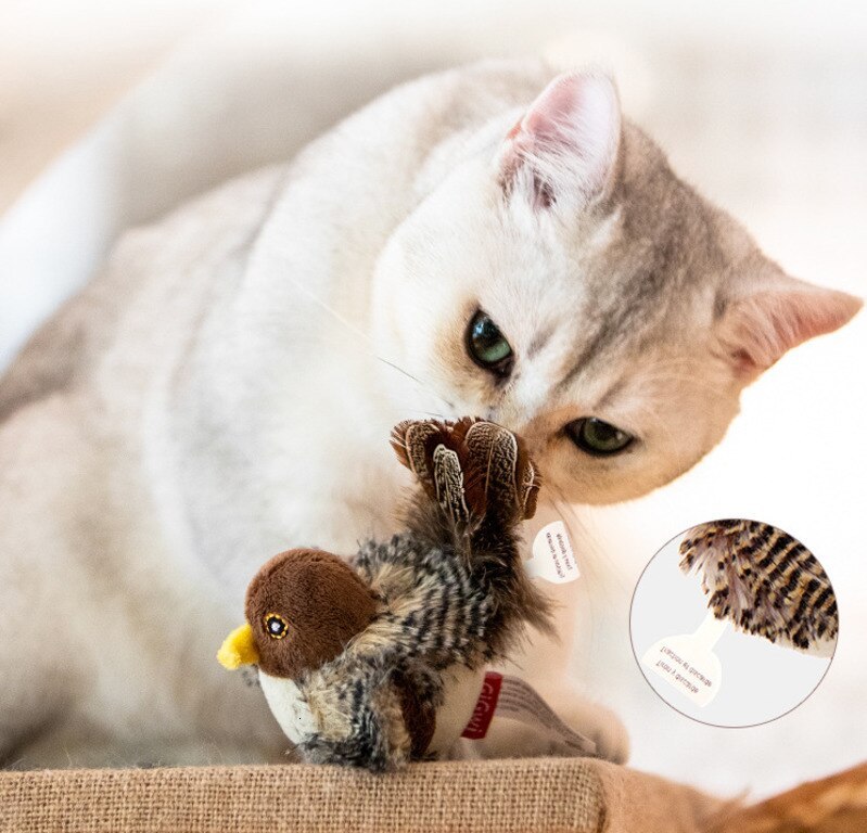 WildFowl™ — Ignite Your Cat’s Hunting Instincts for Limitless Play and Calm Confidence
