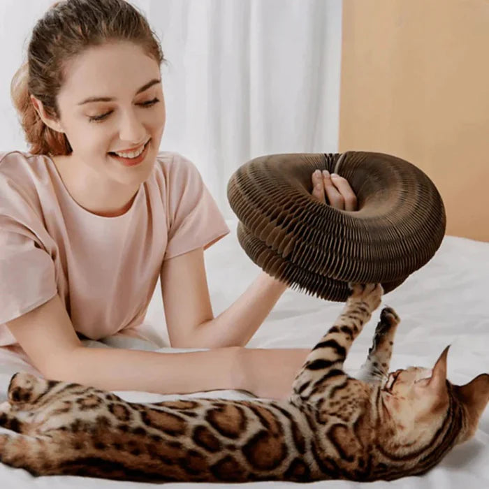 FunCat™ - An interactive toy for cats