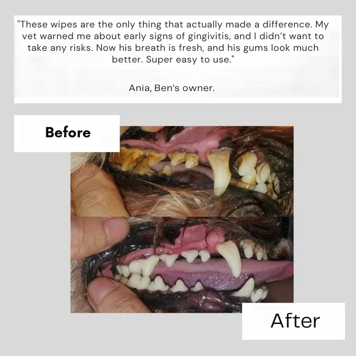 PuriPet™ Wipes — Effortless Fresh Breath and Healthy Smiles Your Pet Will Love