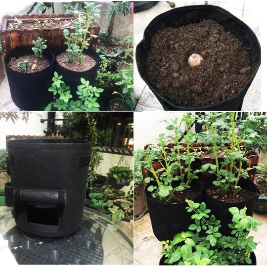 Breathable Plant Bag – Nurture Vibrant Roots for Easy Harvesting!