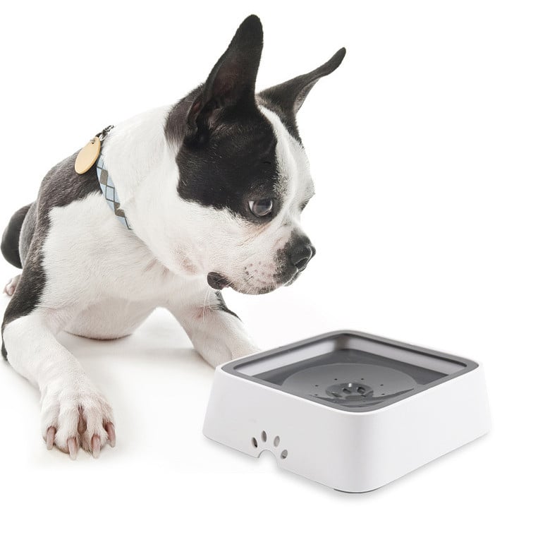 AquaPaw™ — Enjoy Calm, Splash-Free Sips That Keep Your Floors Spotless and Your Pup Happy