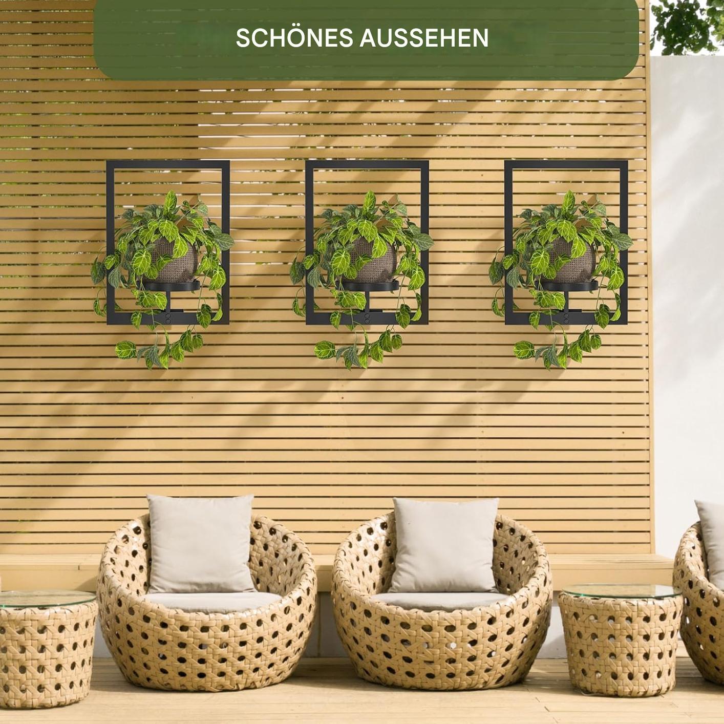 Wall Mounted Plant Holder | Metal Frame | Space-Efficient | Plantify