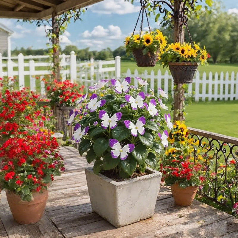 FlutterMuse™ Butterfly Bloom Seeds — Transform Your Garden into a Magical Butterfly Wonderland