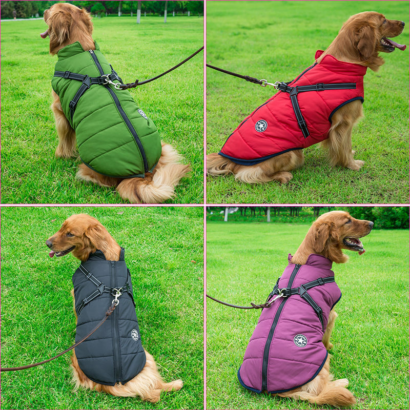 StormPaw™ Weather Jacket — Keep Your Dog Warm, Dry, and Effortlessly Controlled on Every Adventure