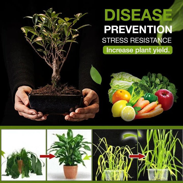 TerraBoost™ — Ignite Your Soil, Watch Your Garden Thrive in Just 3 Days