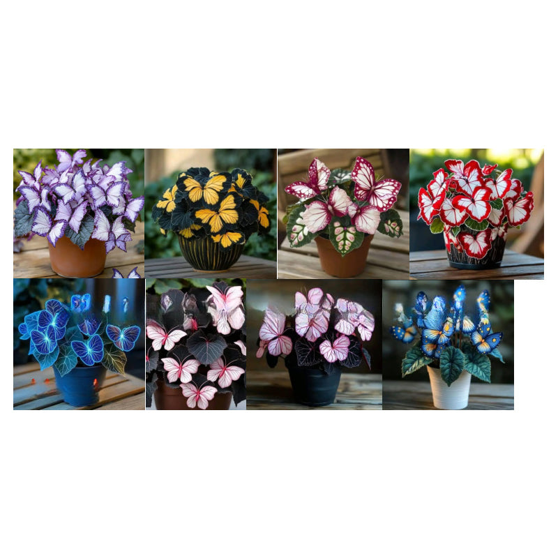 FlutterMuse™ Butterfly Bloom Seeds — Transform Your Garden into a Magical Butterfly Wonderland