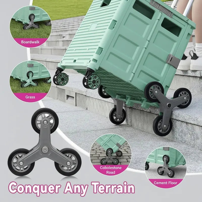 Effortlessly Conquer Every Step and Enjoy Back Freedom