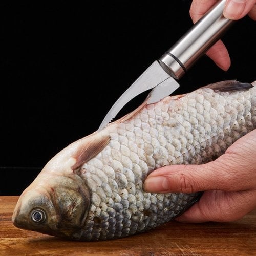 AquaEdge™ — Master Fish Prep Fast with Effortless Precision and Zero Mess