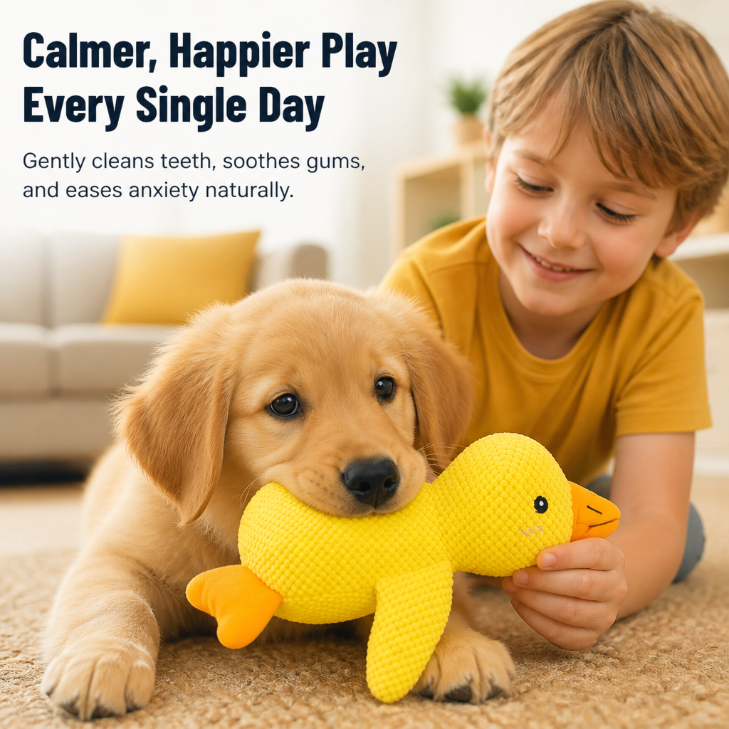 ChewCalm™ — Soothe Their Gums, Spark Their Joy, and Calm Their Mind Every Day