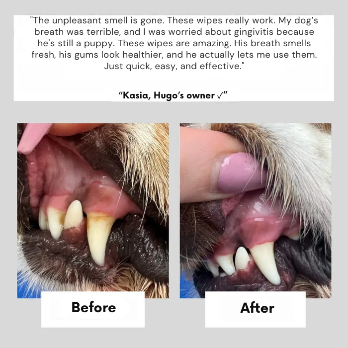 PuriPet™ Wipes — Effortless Fresh Breath and Healthy Smiles Your Pet Will Love
