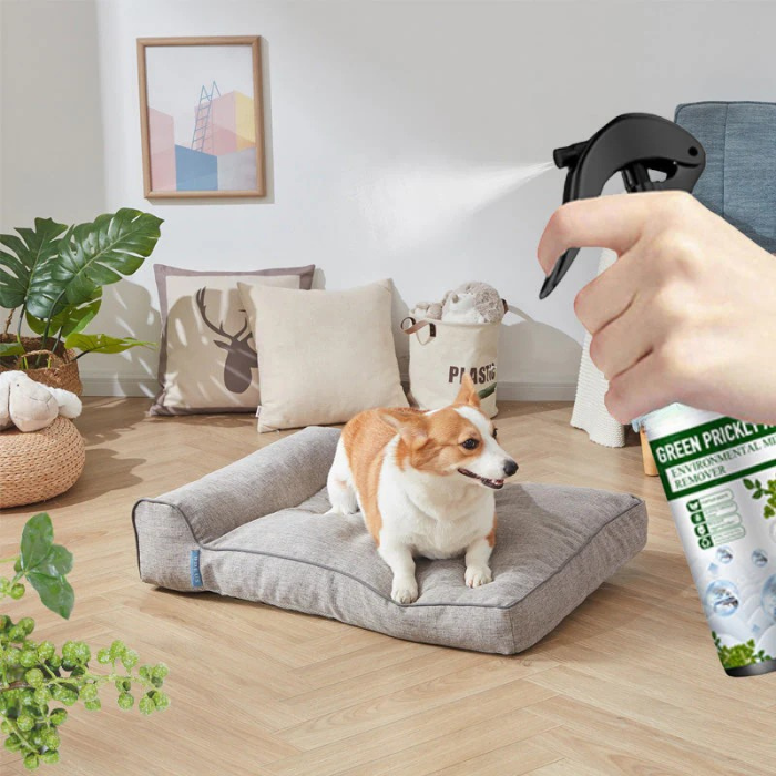 Rentela™ — Breathe Freely Again with Instant Dust Mite Defense