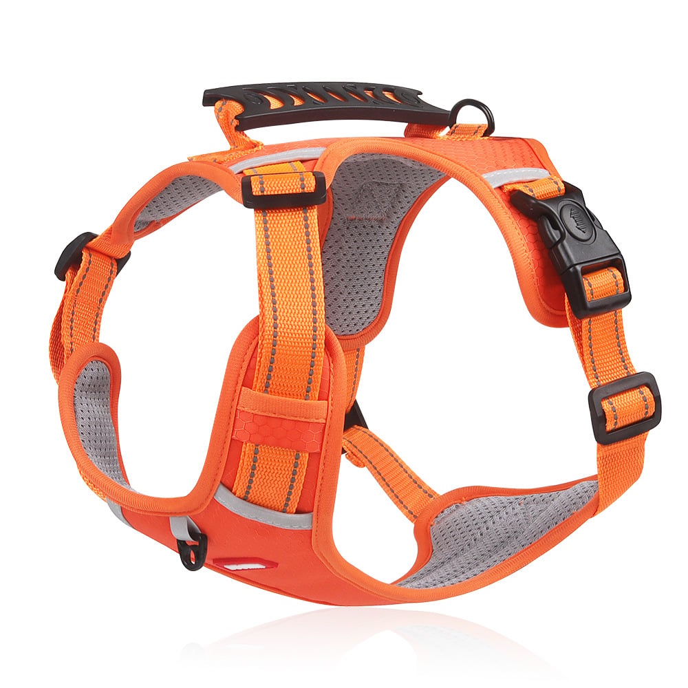 PawEase Harness - Enjoy Relaxed Walks Without Pulling and Maximum Comfort