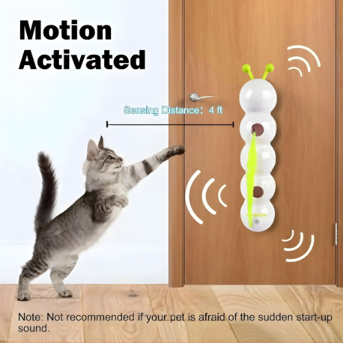 Carnivor™ — Ignite Your Cat’s Wild Instincts for Non-Stop Play and Sharp Focus