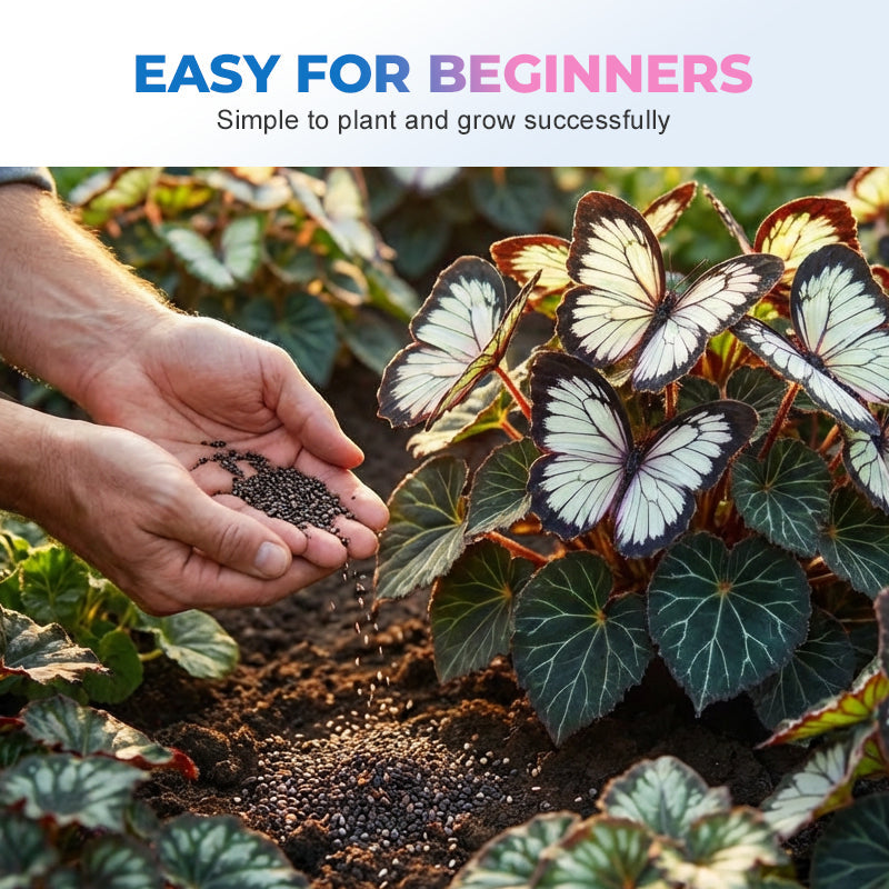 FlutterMuse™ Butterfly Bloom Seeds — Transform Your Garden into a Magical Butterfly Wonderland