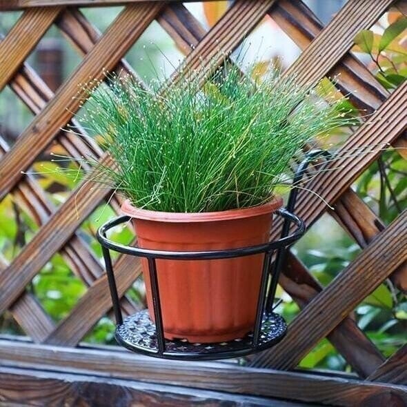 Plant Hanging Shelf for Balcony Dreams – Stable Support Solution