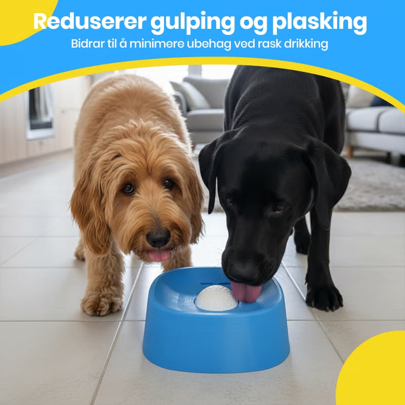 Calm Drinking Solution for Stress-Free Digestion and Happy Dogs