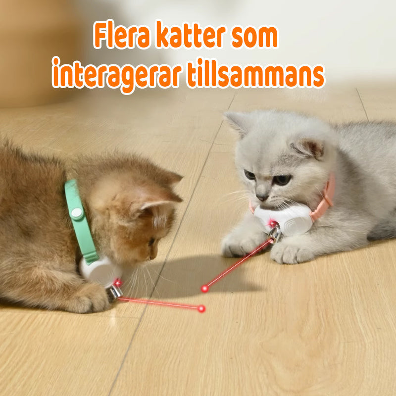 Automatic Toy for Cats – Unleash Your Feline's Wild Energy!